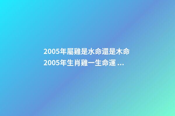 2005年屬雞是水命還是木命 2005年生肖雞一生命運 2005年屬雞是什么命-第1張-觀點-玄機派